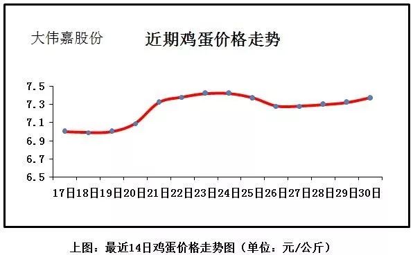 雞蛋價格走勢分析，洞悉行情變化，助力自信與夢想實(shí)現(xiàn)之路